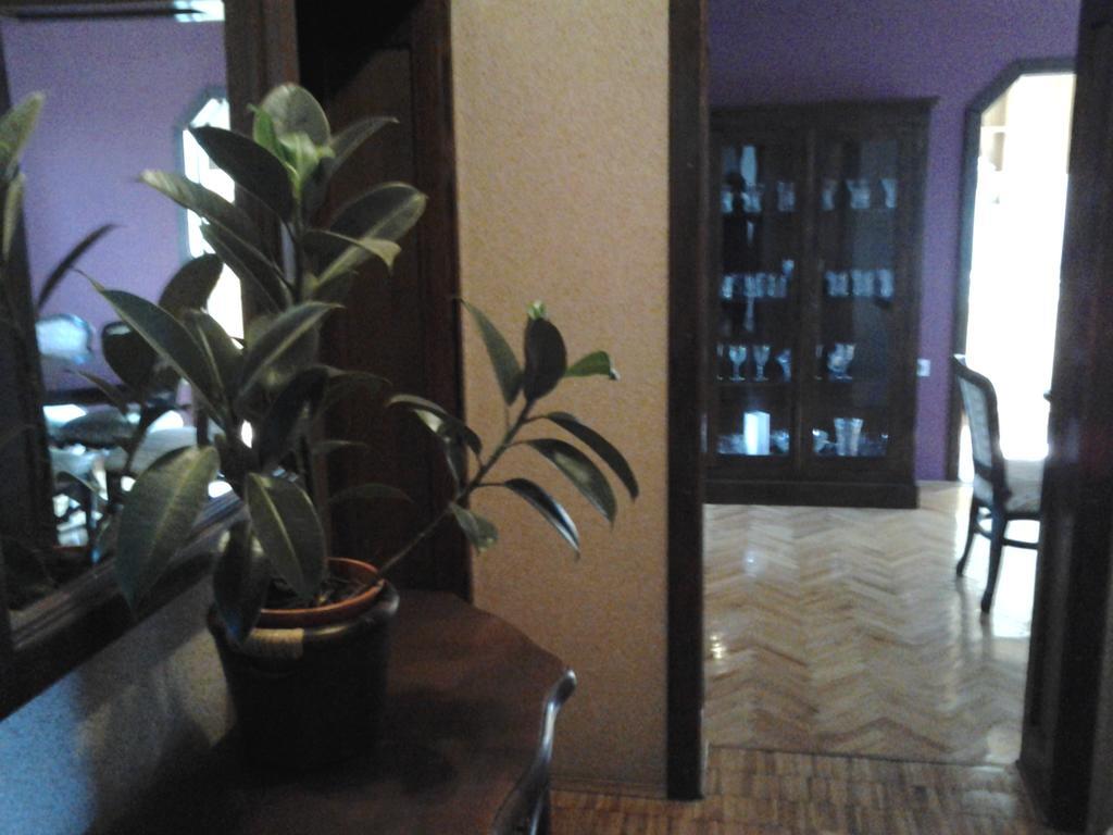 Apartments Jurasic Ogulin Exteriör bild